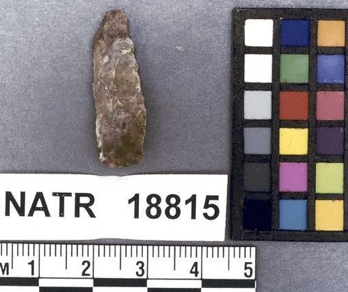 NATR   18815 -- Late Woodland / Miss Triangular Cluster projectile point