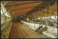 Wapama (built 1915; steam schooner), rennovation, March 1990, Part I. Various views of Wapama (built 1915; steam schooner), under construction during rennovation March 1990. The images are a sample from a slide show given to an unknown audience. This record is 1 of 2 records with images from this slide show.