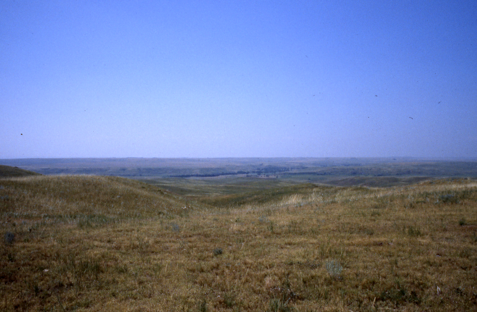 open prairie landscape