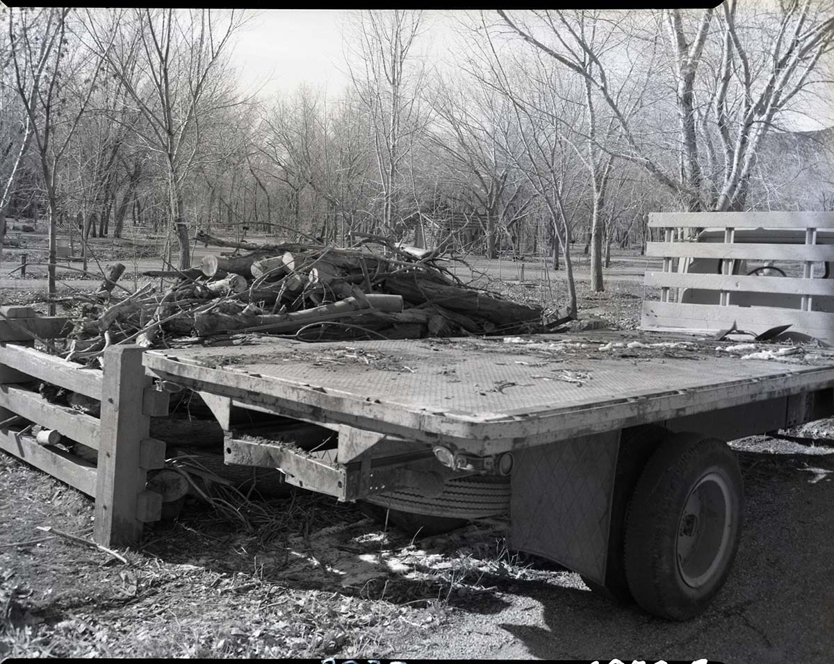Site of visitor accident, location of wood rack and truck.