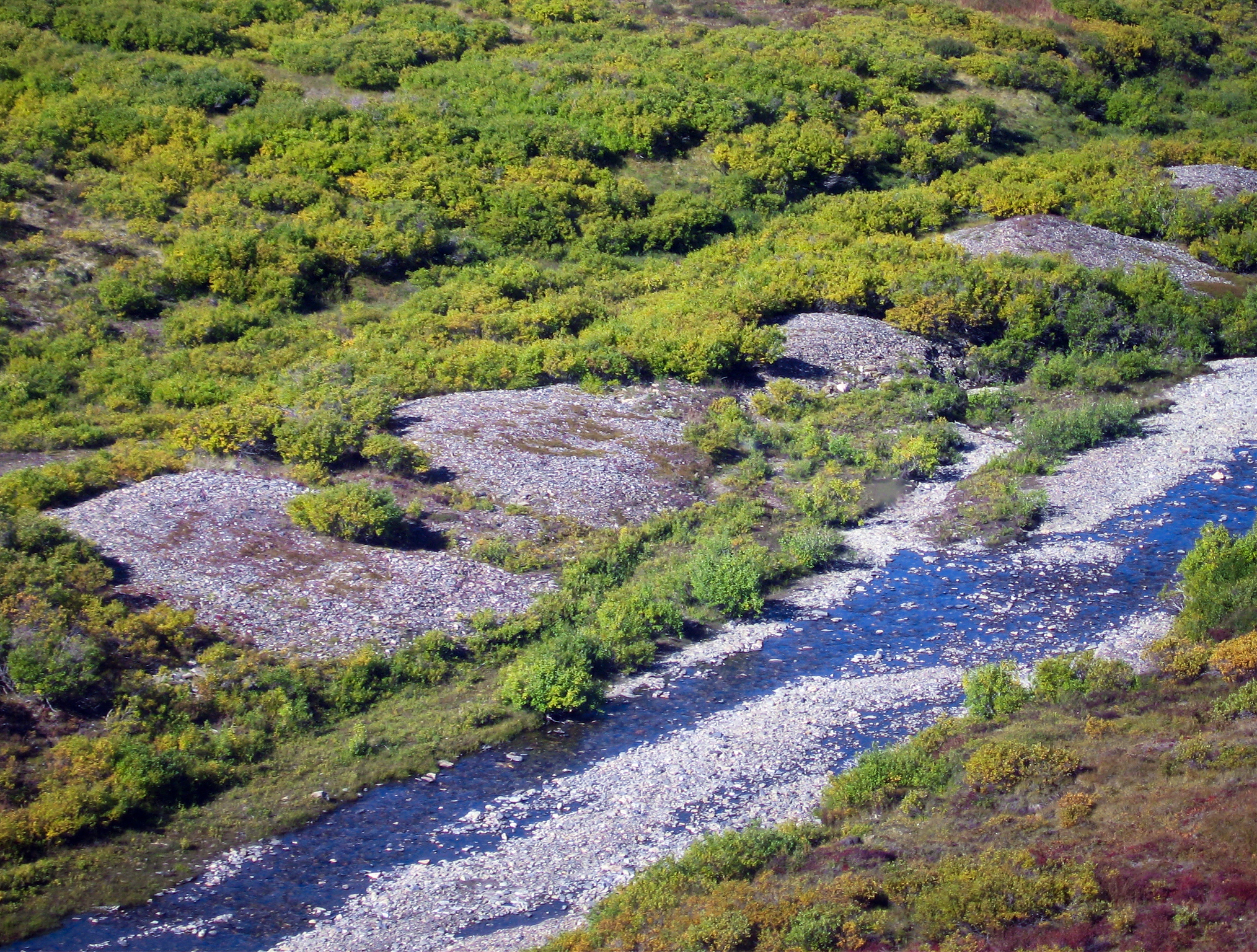 A shallow gravely creek carries a small stream of water. 