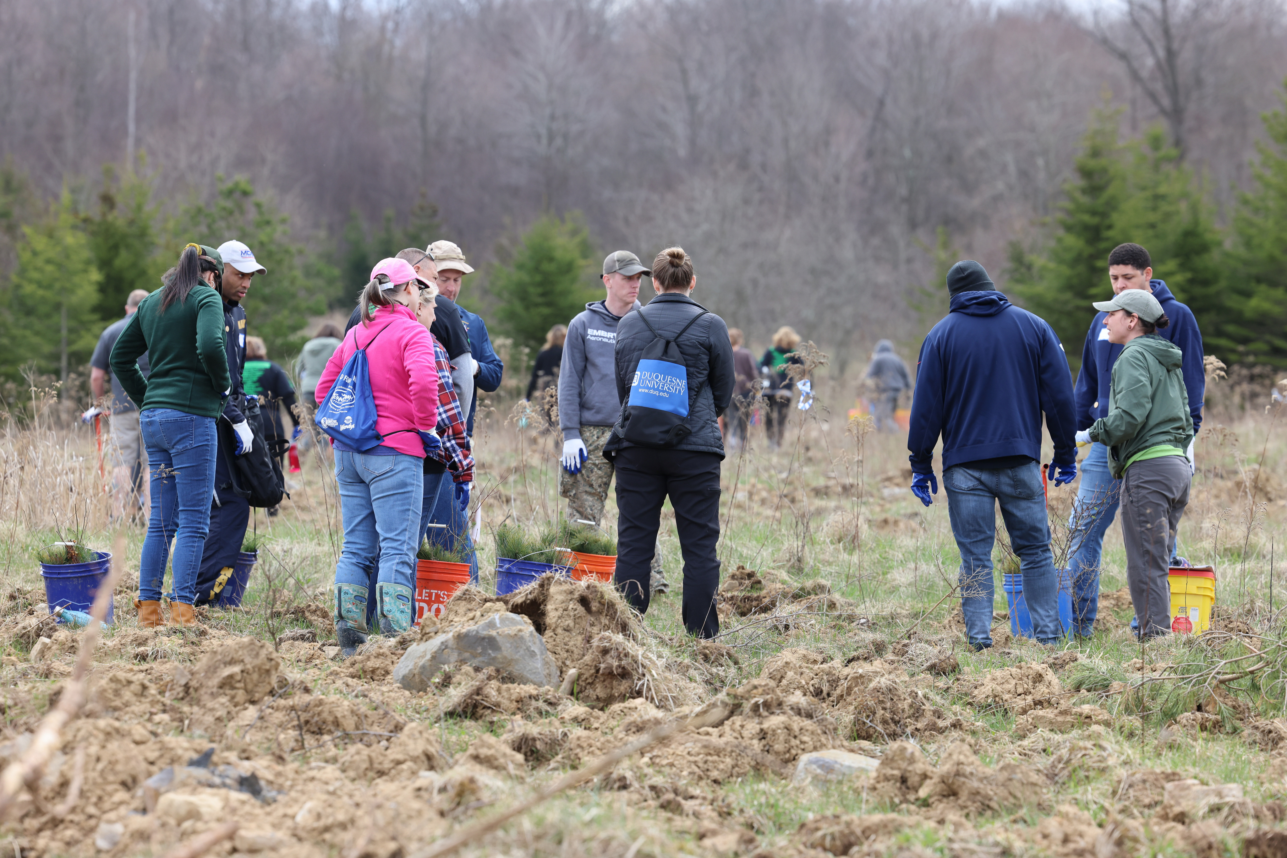 Volunteers planting seedlings.