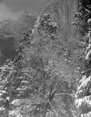 Yosemite Fall in Winter, taken from the Museum.
