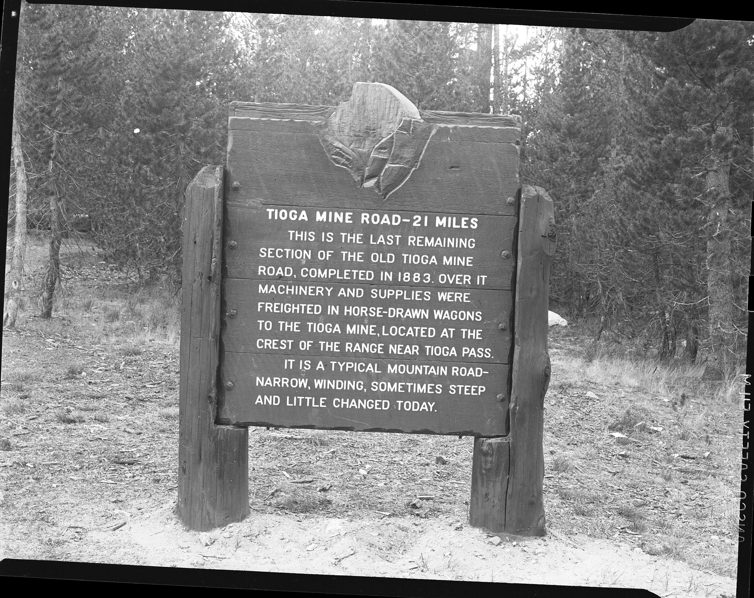 One of two signs at the end of a narrow section of old Tioga road.