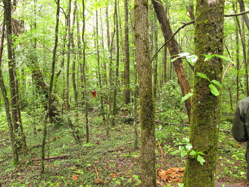 Plot Code: GRSM_AA_0574_3