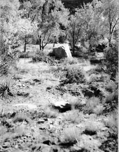 Flood damage on park road near utility area; cloudburst at 6:30 p.m. leading to 1.08-inches of rain. [One of two images on film strip for ZION 8584]