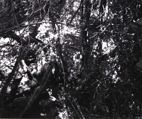 BW photo of a rock slide at the gateway to the narrows.