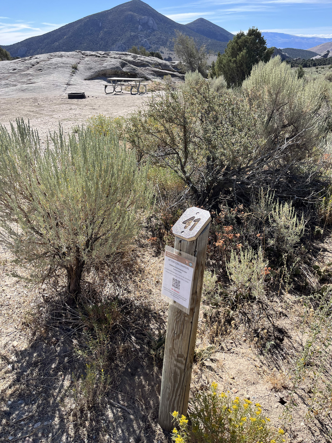 Campsite 41 marker post and large, flat, dirt parking area with mountain views in the distance.