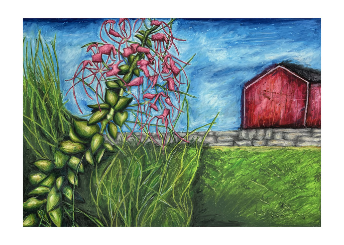 A drawing of a pink flower plant with a stone wall and a red barn in the background.