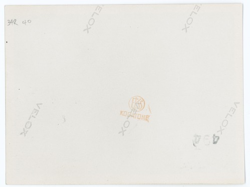 (Reverse) Chalone Creek Road Construction