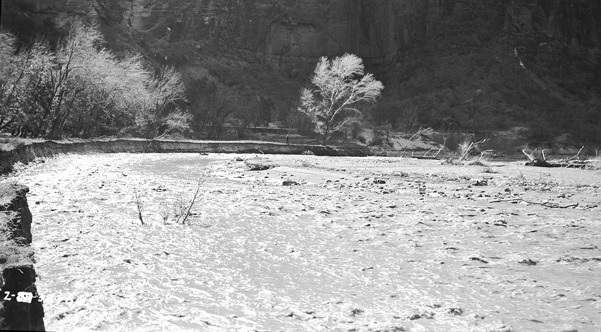 Virgin River in flood stage.