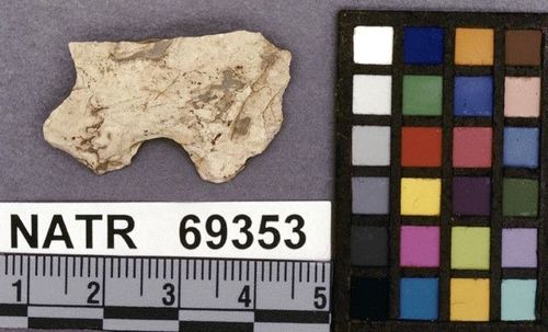 NATR   69353 -- Untyped projectile point