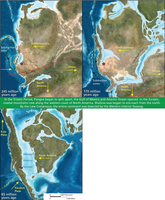 Mesozoic Era paleogeographic maps of North America. Three maps show the relative location of Africa, South America, and North America. The figure summary states: “In the Triassic Period, Pangea began to split apart; the Gulf of Mexico and Atlantic Ocean opened. In the Jurassic, coastal mountains rose along the western coast of North America. Shallow seas began to encroach from the north. By the Late Cretaceous, the entire continent was bisected by the Western Interior Seaway. 