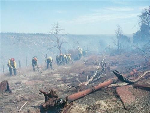 Fire fighters working on fire lines during the Long Mesa Fire, Mesa Verde National Park, July-August 2002