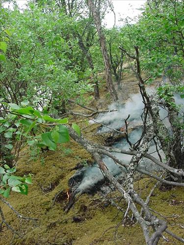 Bay of Island Fire, Naknek Lake, Katmai National Park, July 2001