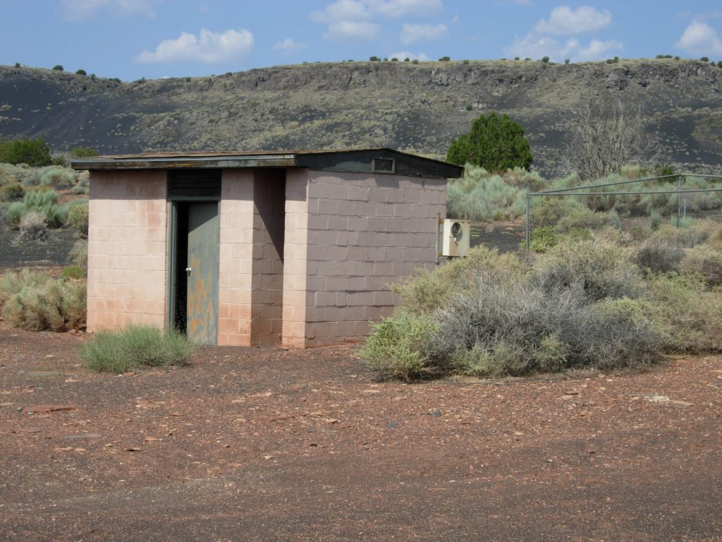 An old cream and green colored shack with a door ajar