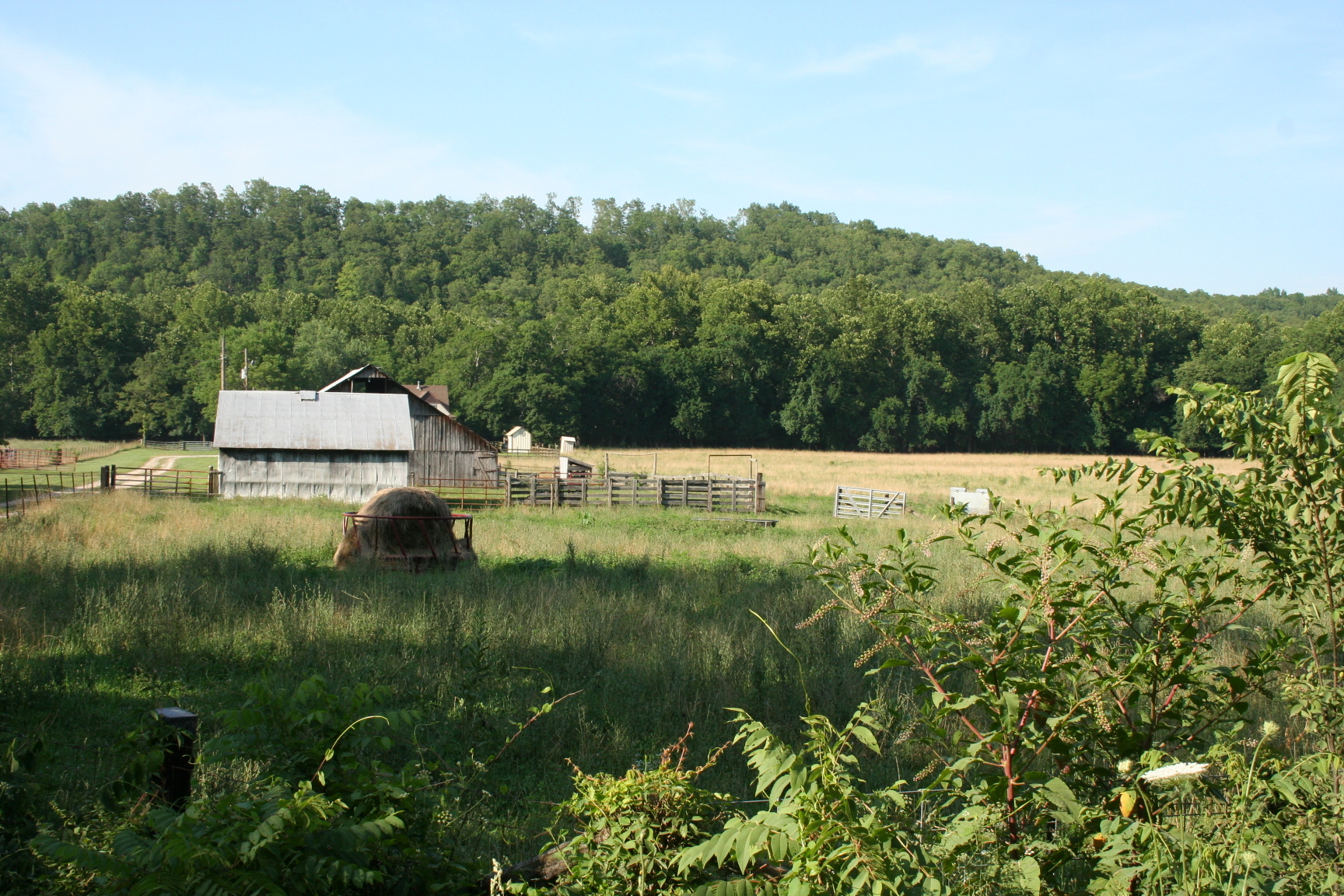A small house in a wooded area.