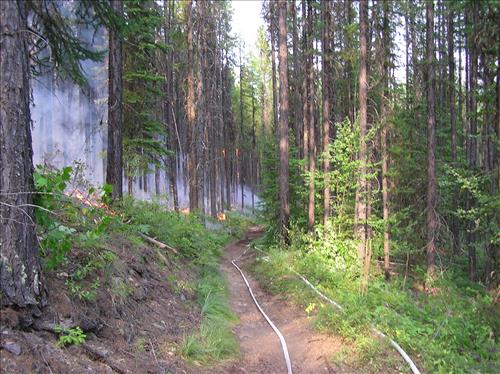 Fish Creek burnout operation on Robert Fire, Glacier National Park