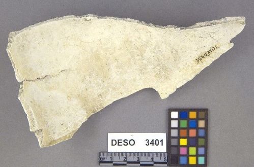DESO    3401 -- Debitage