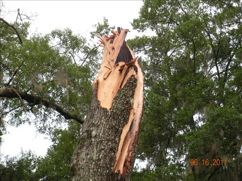 Storm Damage Fort Frederica National Monument 2011