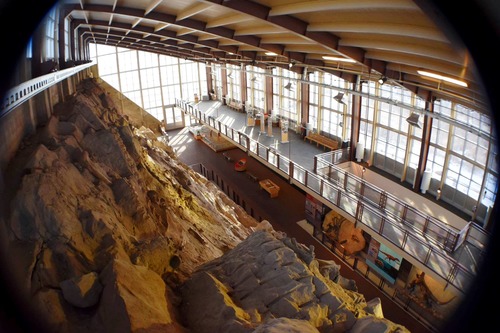The inside of the Carnegie Exhibit hall showing the upper and lower levels and some of the displays.