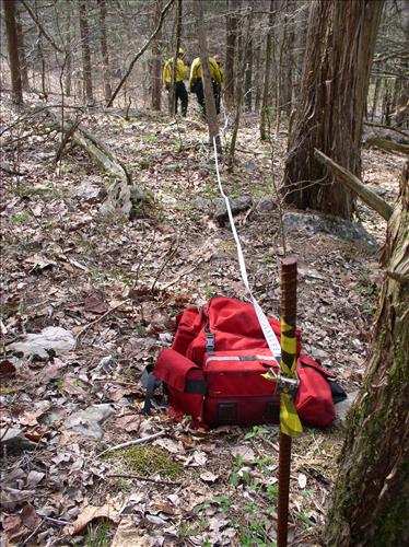 Fire effects monitoring on Jim Lee Prescribed burn, Mammoth Cave National Park, 2004