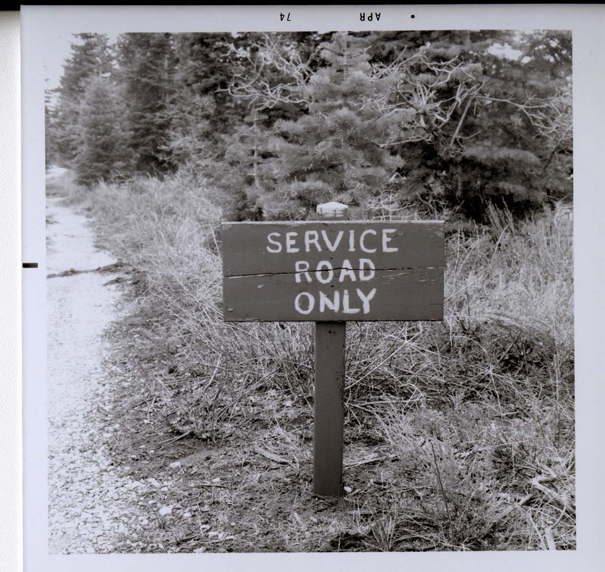 Road sign reading 'Service Road Only' in Kolob Canyon.