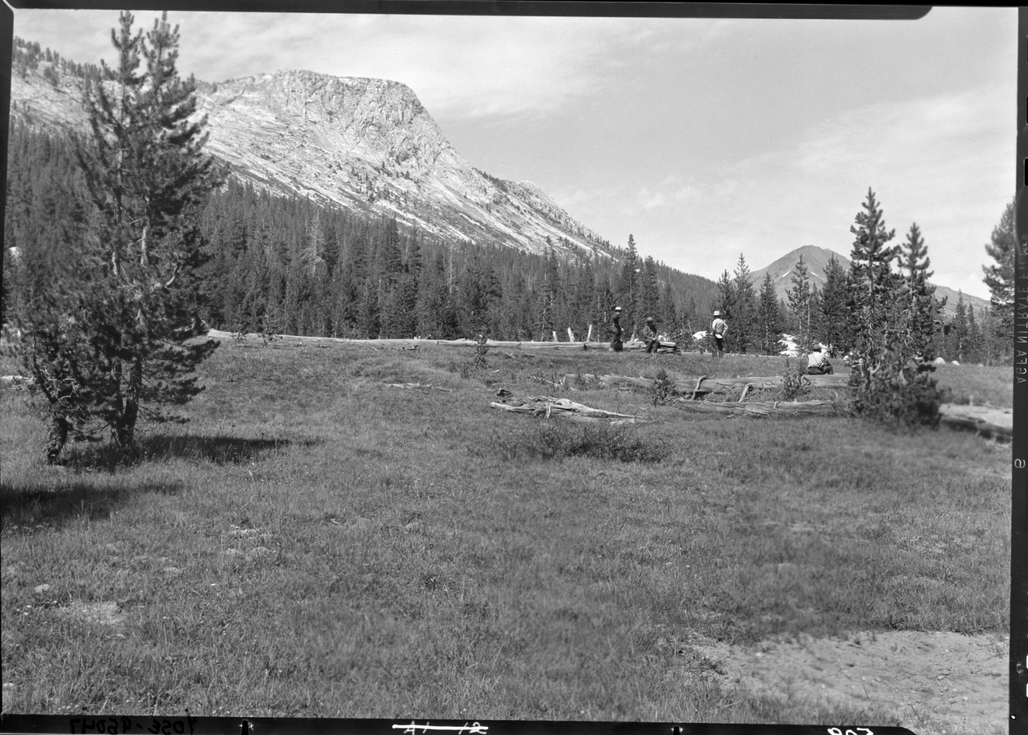 Meadow heavily grazed by Sierra Club in Matterhorn Canyon.