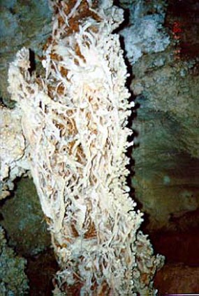 Bushed boxwork with cave popcorn on it