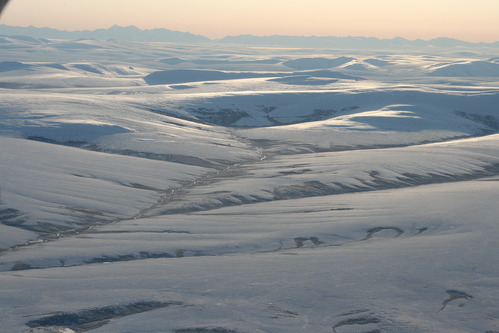 Snowy Rolling Tundra Hills