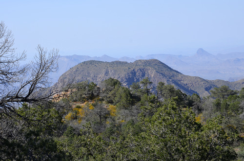 Emory Peak Trail View