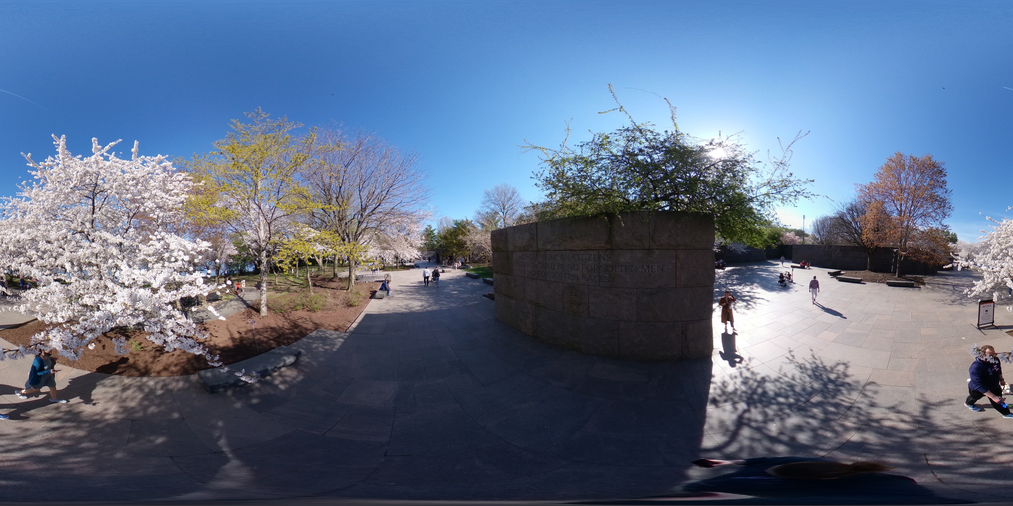 Spherical photo of people walking through a very long memorial plaza that includes stone walls with inscriptions of quotes and various trees. A cherry blossom tree is in full bloom. 