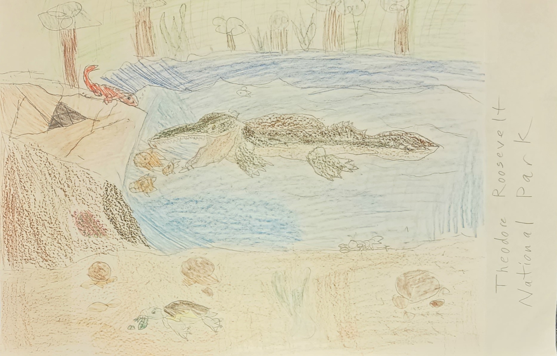 Colored pencil drawing of a prehistoric alligator-like creature in a lake swimming toward a small school of fish. Trees and small animals are on the shore of the lake. Text includes Theodore Roosevelt National Park.