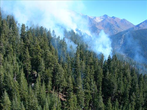 Park helicopter performs aerial ignition and reconnaissance on Highbridge Prescribed Fire, Sequoia and Kings Canyon National Parks, October 2005