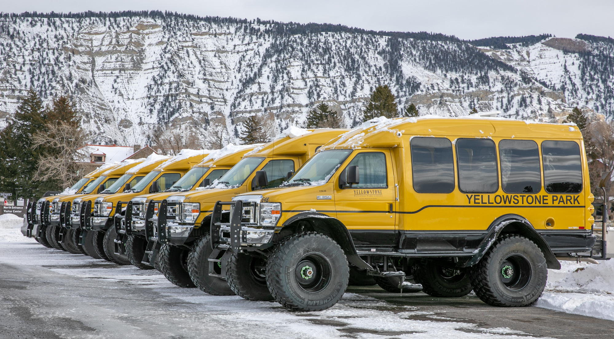 Seven yellow vans with large, low pressure tires are parked next to each other.