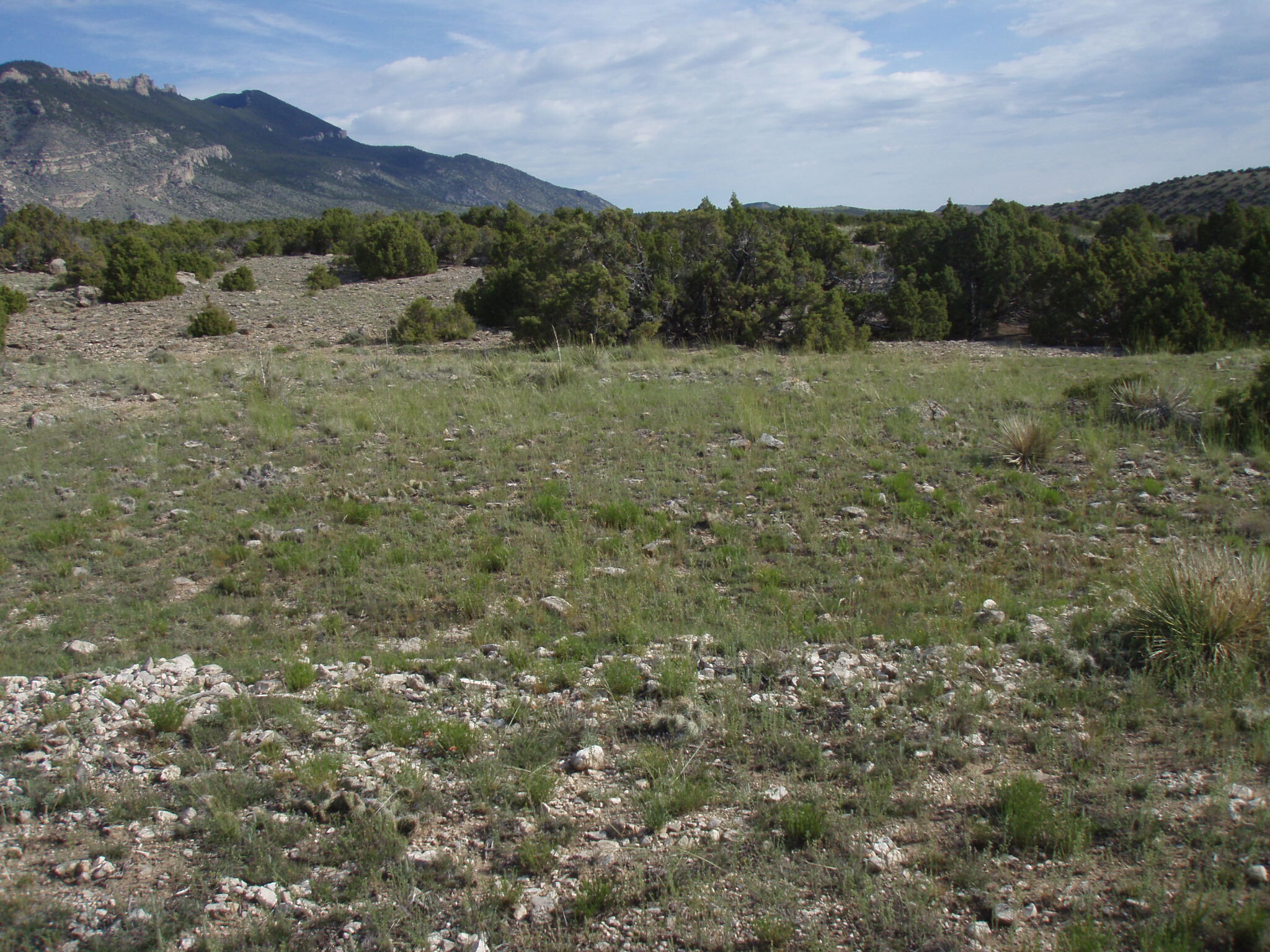 Image of the vegetation and landscape at photo point in Bighorn Canyon NRA 