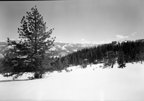Southern view from just below Sentinel Dome.