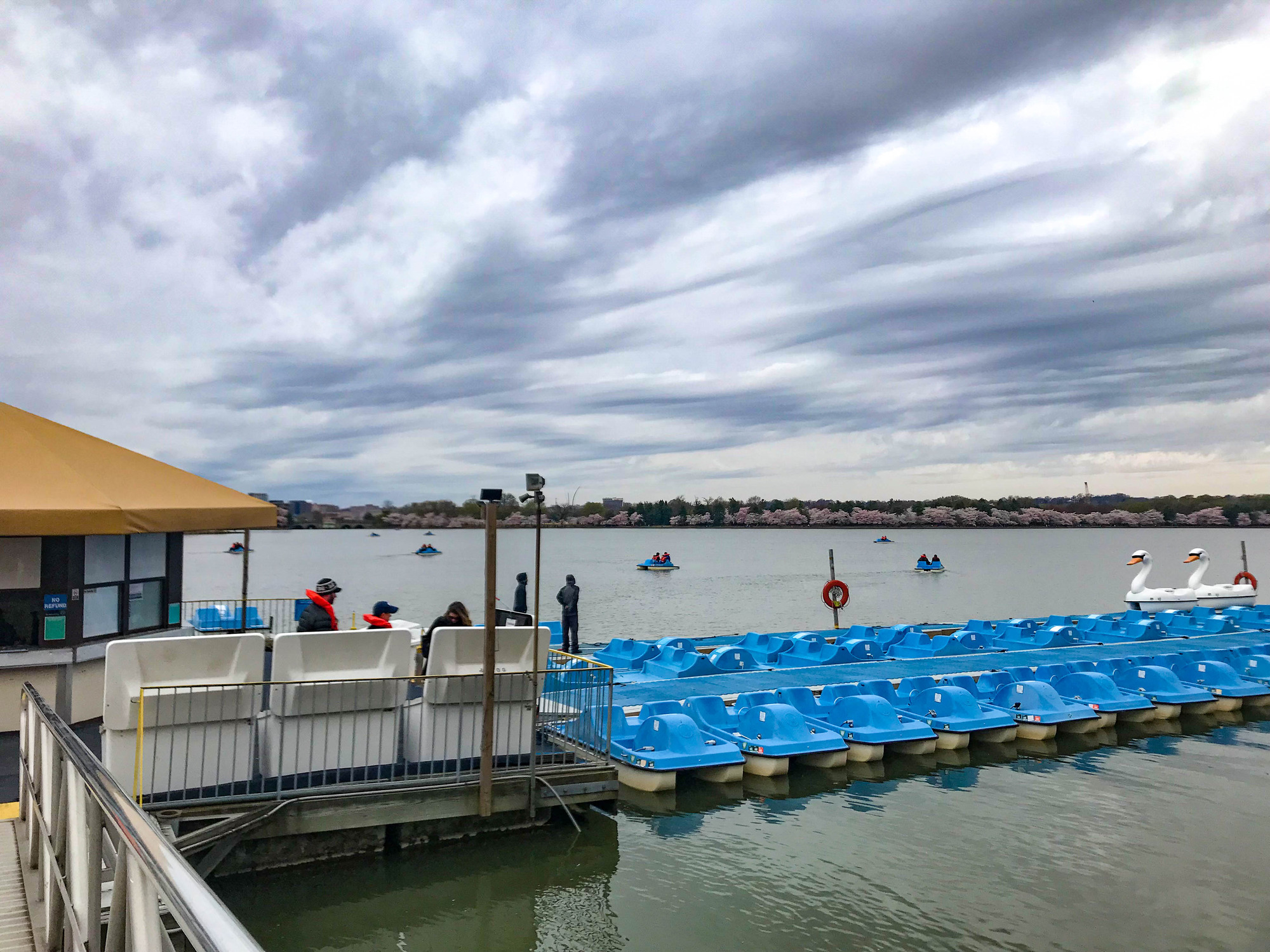 Marina with paddle boats