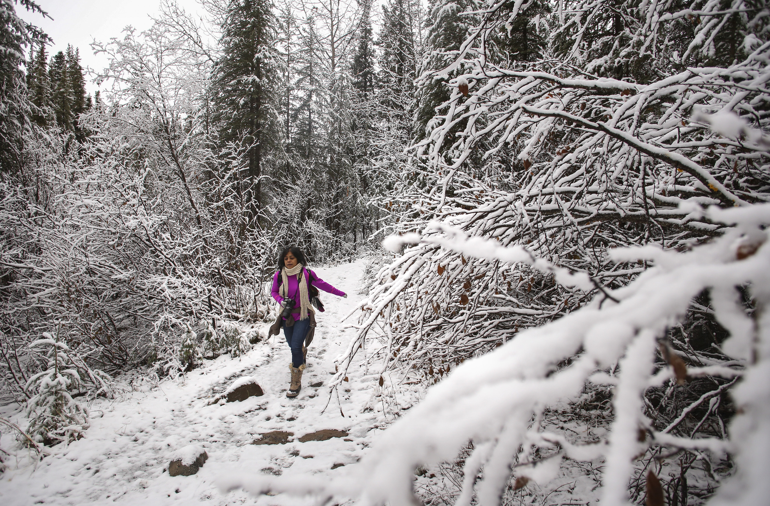 woman walking a snow-covered trail in a snowy forest