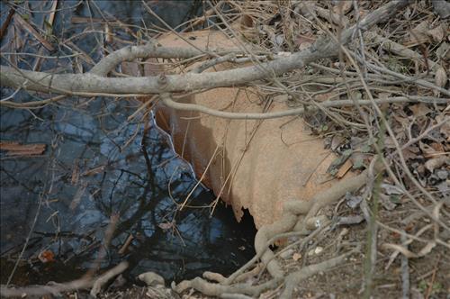 Repair and Stabilize Kenilworth Park Trail System