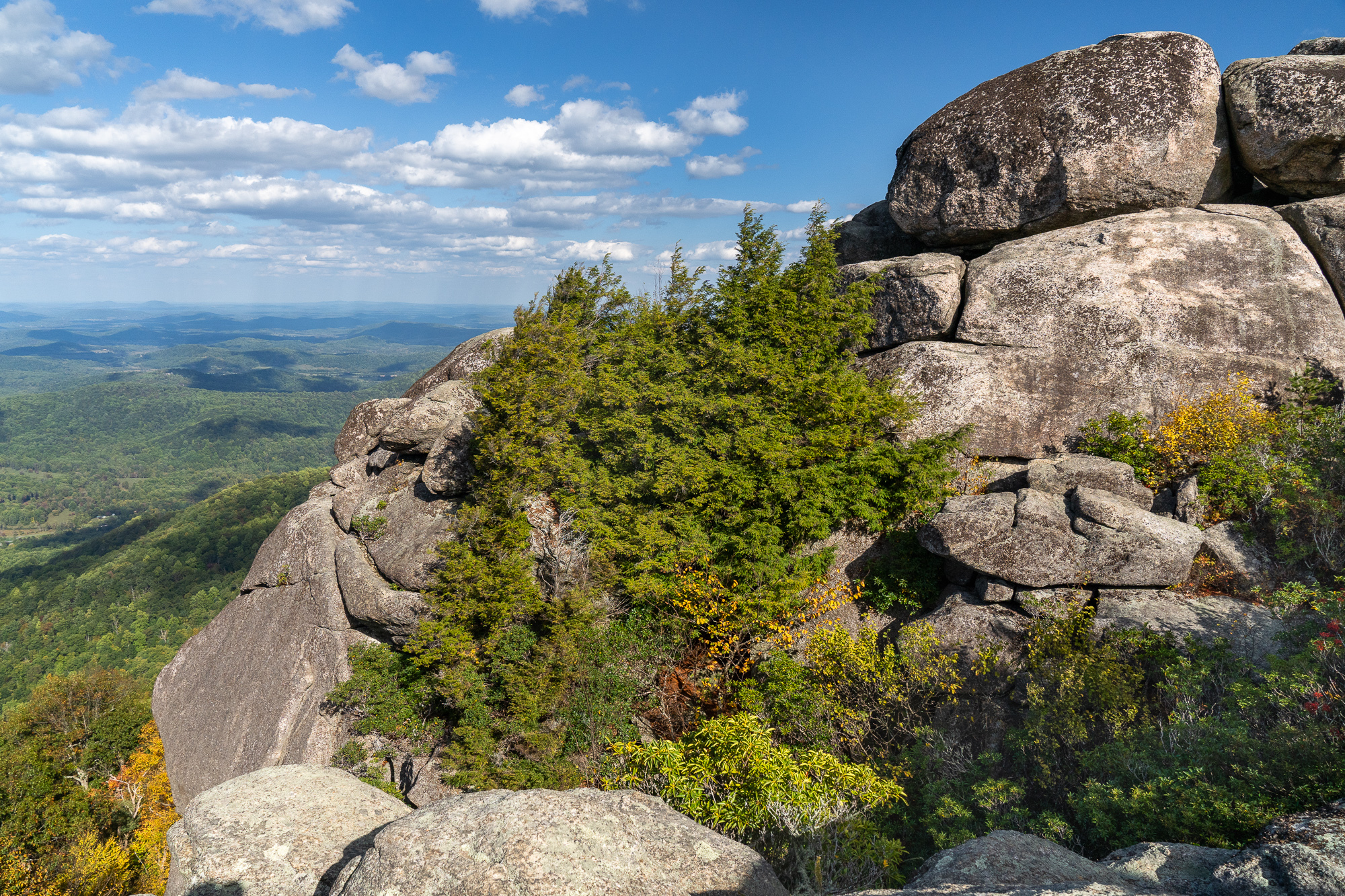 Old Rag Ridge trail
