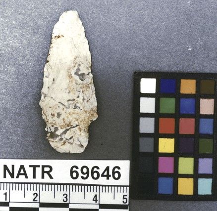 NATR   69646 -- Untyped projectile point