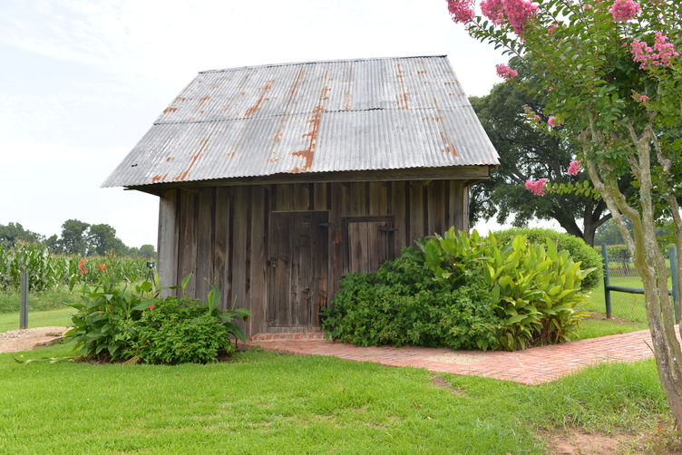 Wood cabin with metal roofing sits in the middle of the frame, a small brick pathway leads to the front door from the right, shrubbery sits on either side.