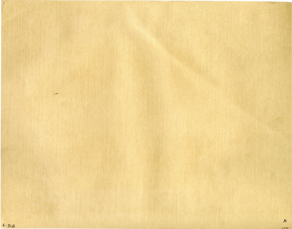 14 Officers in Dress Uniform