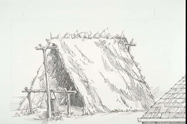 Illustration of a typical thatched hut such as would have been built by John Humble and other original settlers at Frederica.