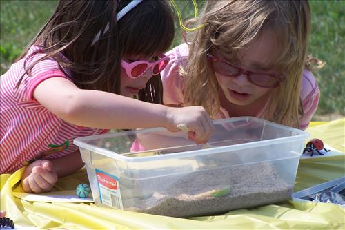 Junior Ranger, Butterfly's Breakfast, Activities