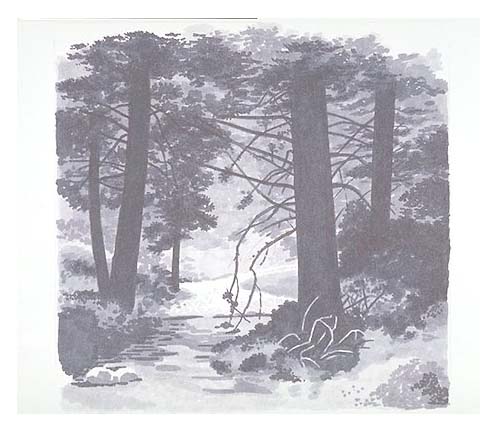 Woodland background art for Exhibit 10