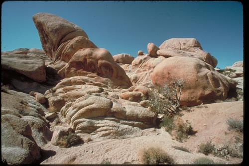 Views at Joshua Tree National Park, California