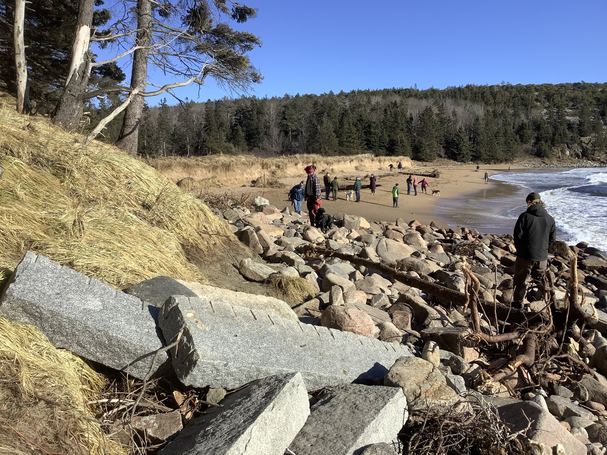 Cobble beach with several large, four foot long granite blocks strewn on the hillside. In the distance, the beach still has sand. 