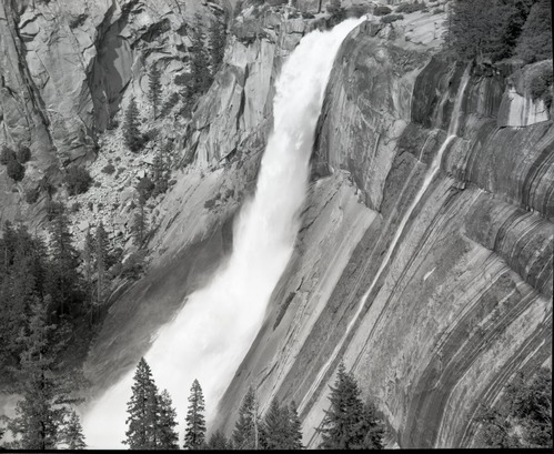 From the horse trail